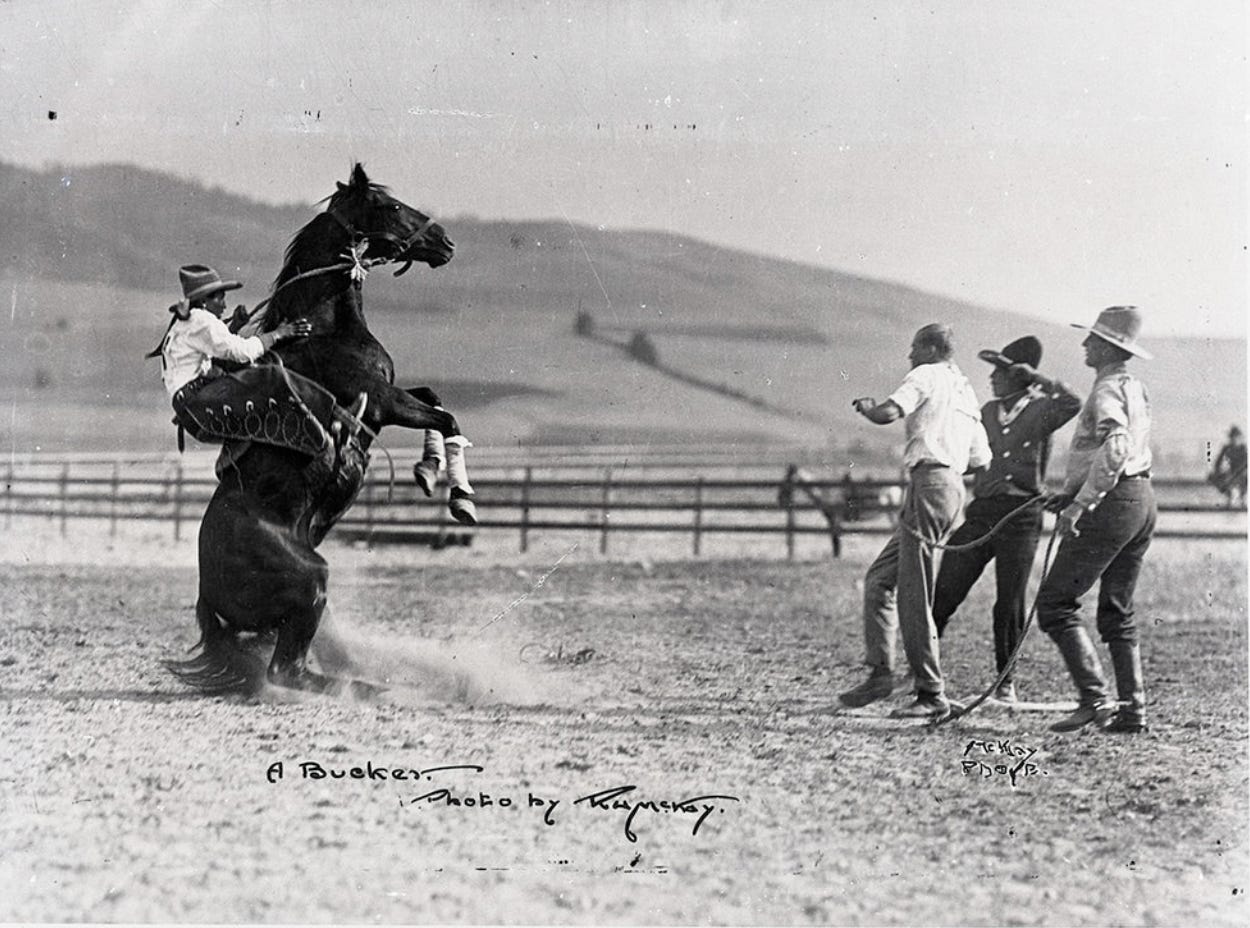 black and white photo of a bucking bronco, fully vertical with a rider struggling to hold on and three startled bystanders holding the other end of the rope)