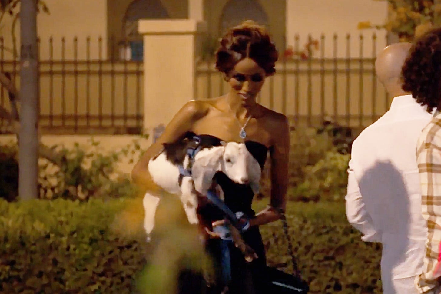 Image: Supermodel Chanel Ayan carries a goat into a semi-formal party