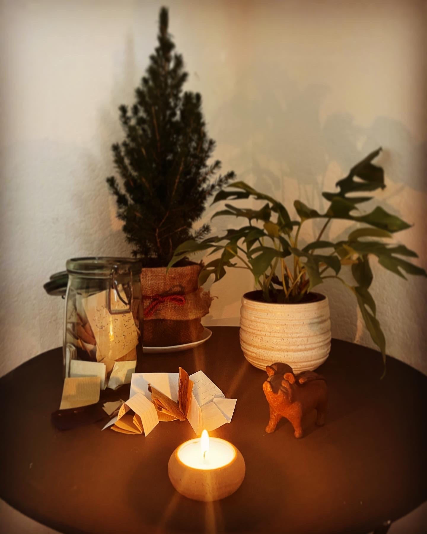 A tiny fir tree, a small cheese plant, an ornamental pig and a glass jar filled with scraps of paper with writing on them, lit by a small candle.