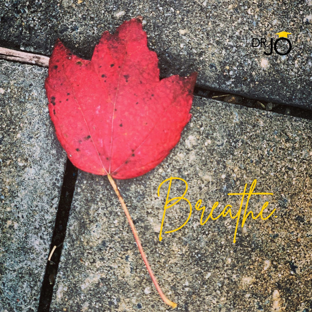 single small red leaf on concrete. Text says, "Breathe."