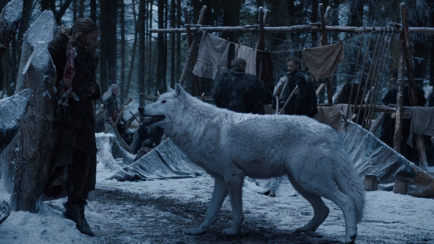 Direwolves | Game of Thrones Wiki | Fandom