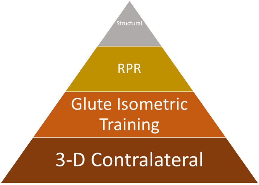 Glute Isometric Protocols