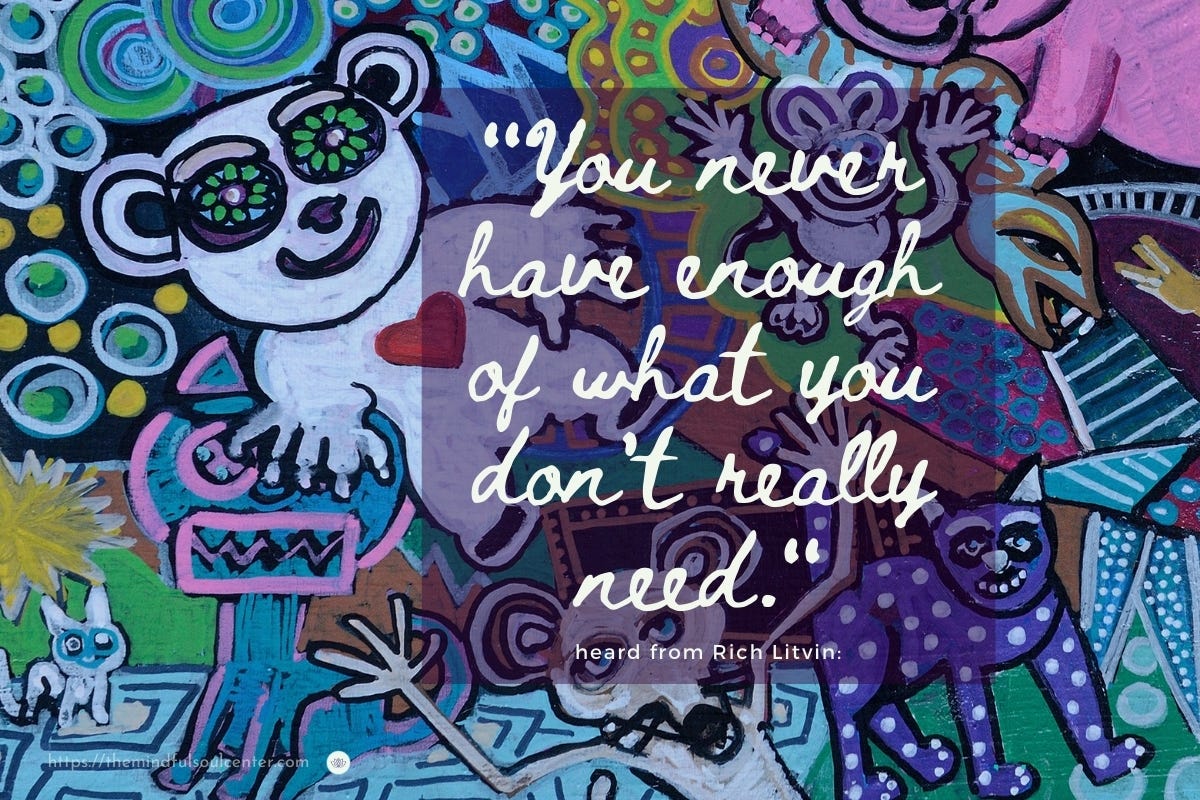 "You never have enough of what you don't really need." - Rich Litvin Quote Image + art by Amy Adams