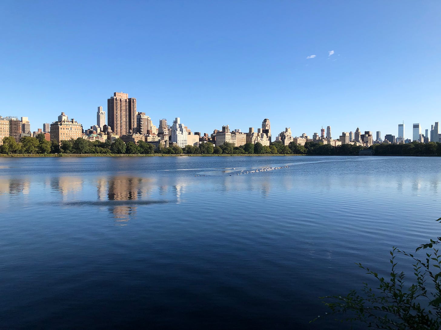 NYC city skyline behind central park lake. Blue sky behind buildings.