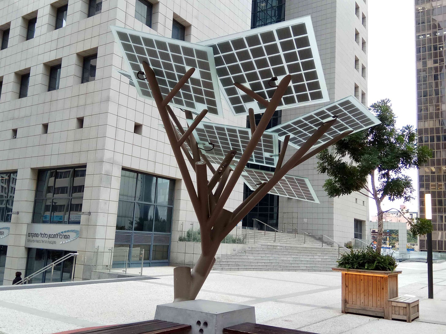 A solar tree in Ramat Gan has square solar panels extending from branches that connect to a central trunk.