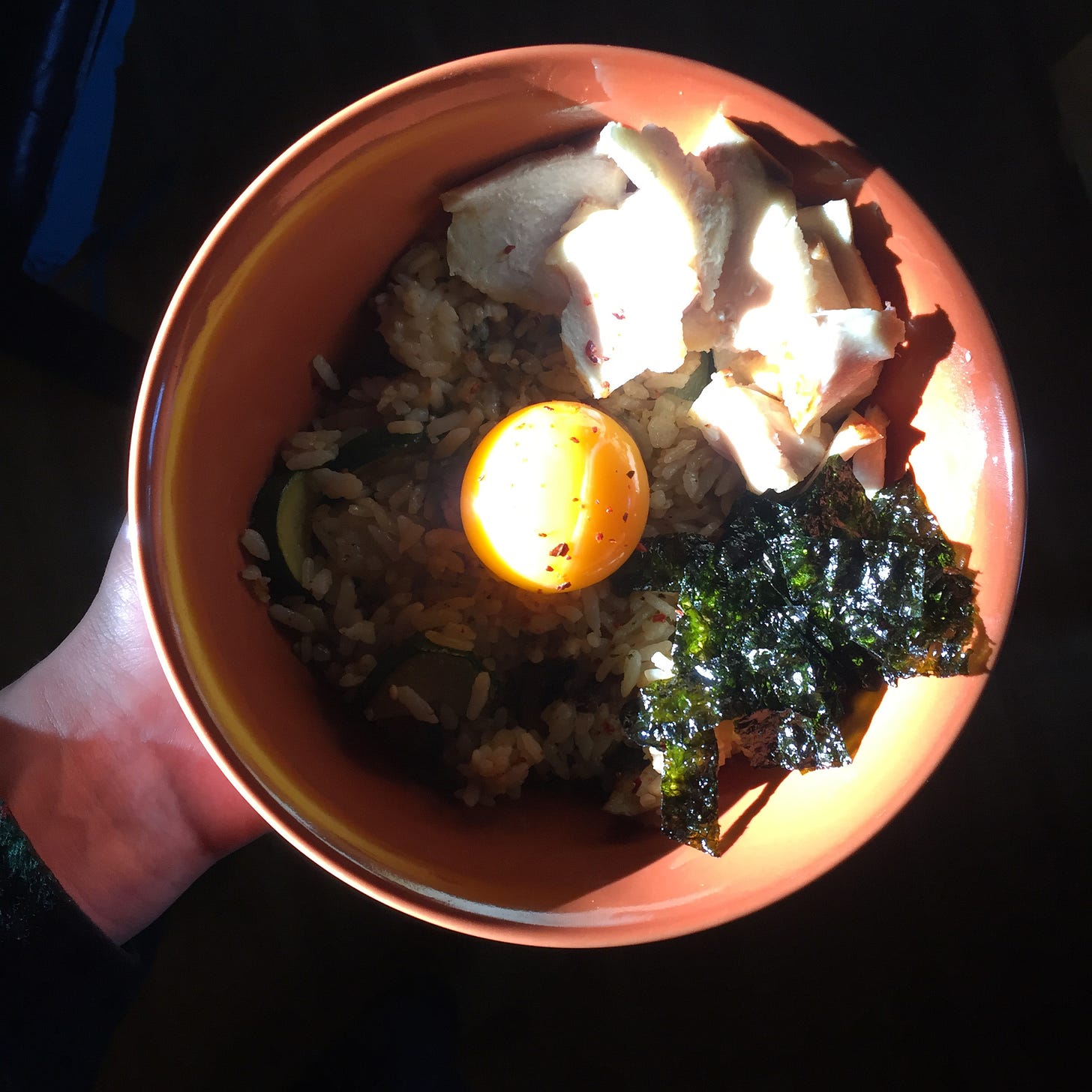 An orange bowl of fried rice with an egg yolk in the centre and little piles of dried seaweed and large flakes of salmon at the sides. The bowl is caught in a sunbeam, lighting one side of the bowl and making the background almost pure black.
