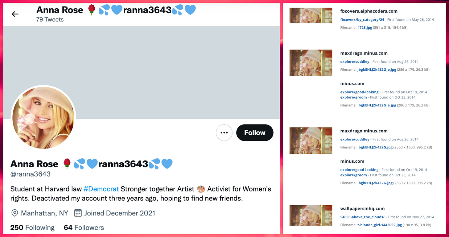 screenshot of @ranna3643's profile and reverse image search showing that the profile photo is stolen