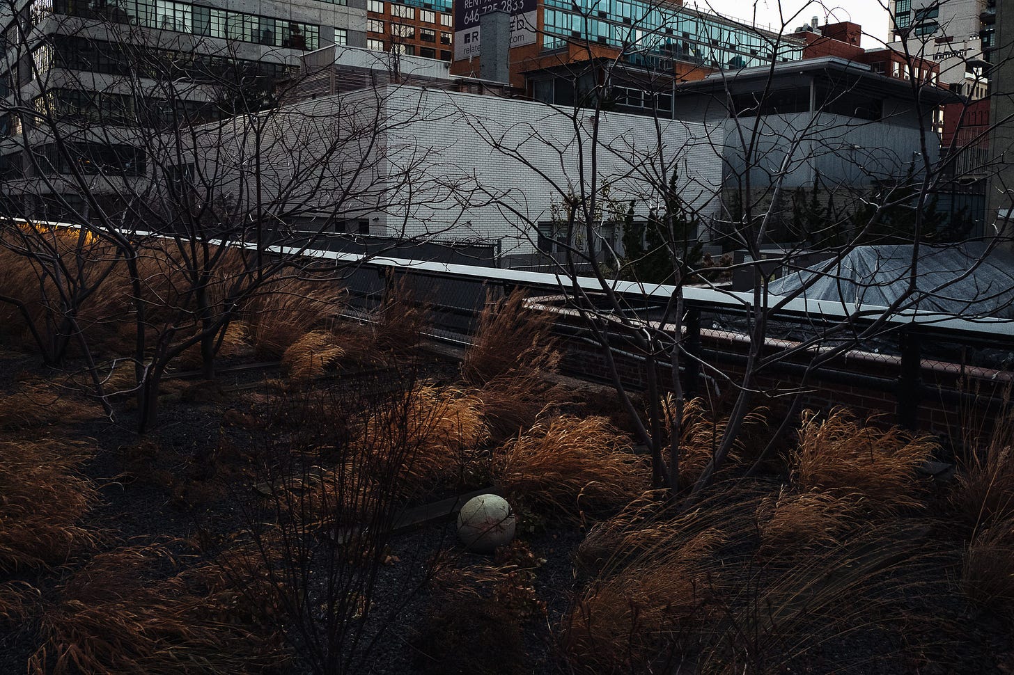 The Highline-L1070639-pete-carr-pete-carr.jpg