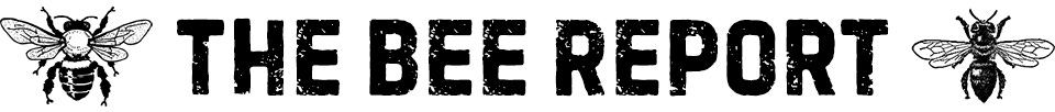 The Bee Report The Bee Report