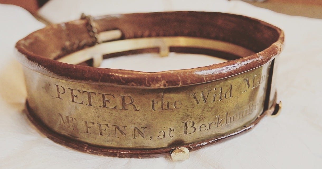 The leather colour that Peter the Wild Man wore in case he got lost and needed to be brought home to Mr Fenn of Berkhamsted