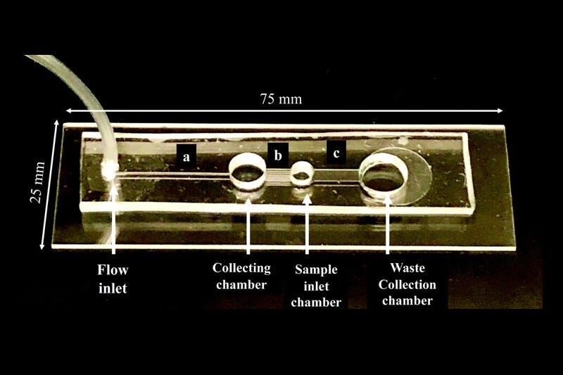 The microfluidic chip, which should cost under $5 to manufacture