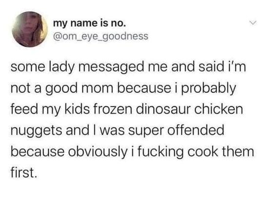 Tweet by om_eye_goodness which reads: "Some lady messaged me and said I'm not a good mom because I probably feed my kids frozen dinosaur chicken nuggers and I was super offended because obviously i fucking cook them first."