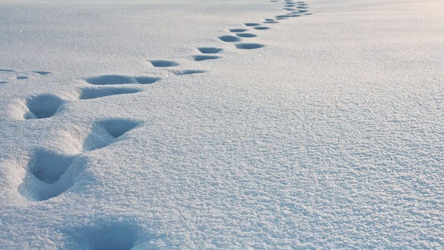 Footsteps In Snow Images – Browse 11,202 Stock Photos, Vectors, and Video |  Adobe Stock