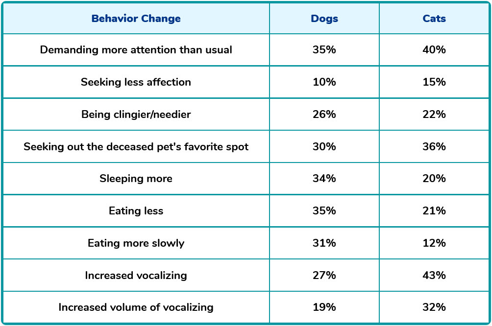 behavior change in dogs & cats