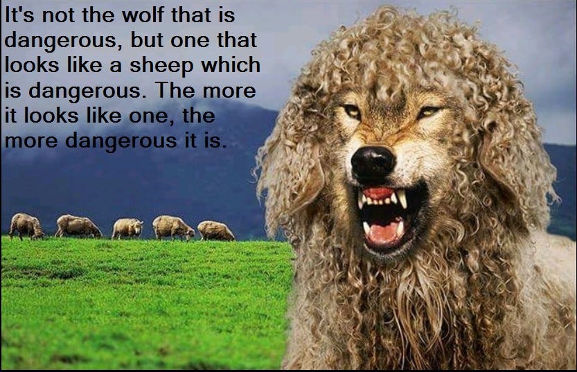 May be an image of animal and text that says "It's not the wolf that is dangerous, but one that looks like a sheep which is dangerous. The more it looks like one, the more dangerous"