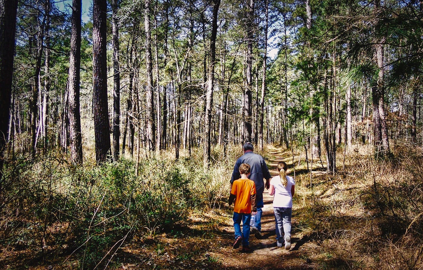 A grandfather with his two grandchildren, a boy and a girl, walking on a path in the forest with dappled lights marking the path