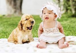 Puppy Parenting Vs. Raising Newborns? One Study's Insights. | PawTracks
