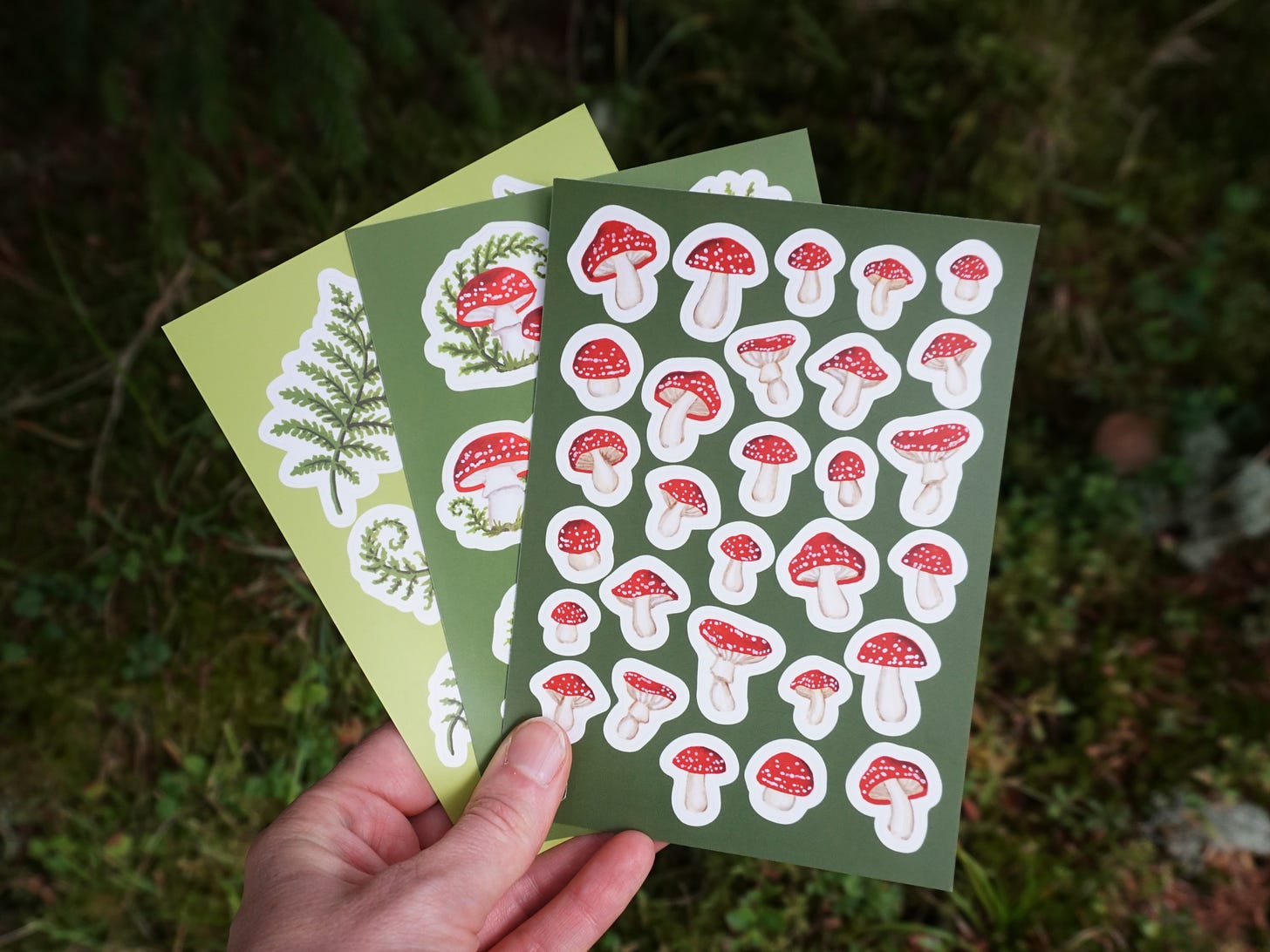 A white person's hand holds a fan of three sticker sheets. The first has a green background with dancing red and white mushrooms. The second has a lighter green background, and some larger mushrooms framed by moss and bracken. The final sheet is light green with fronds of bracken.