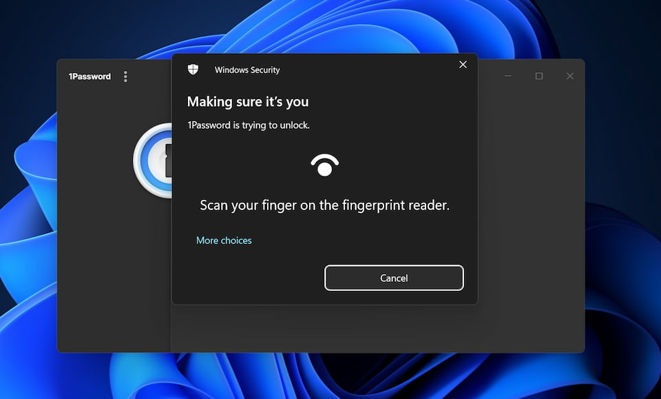 Fingerprint sensor unlock Windows