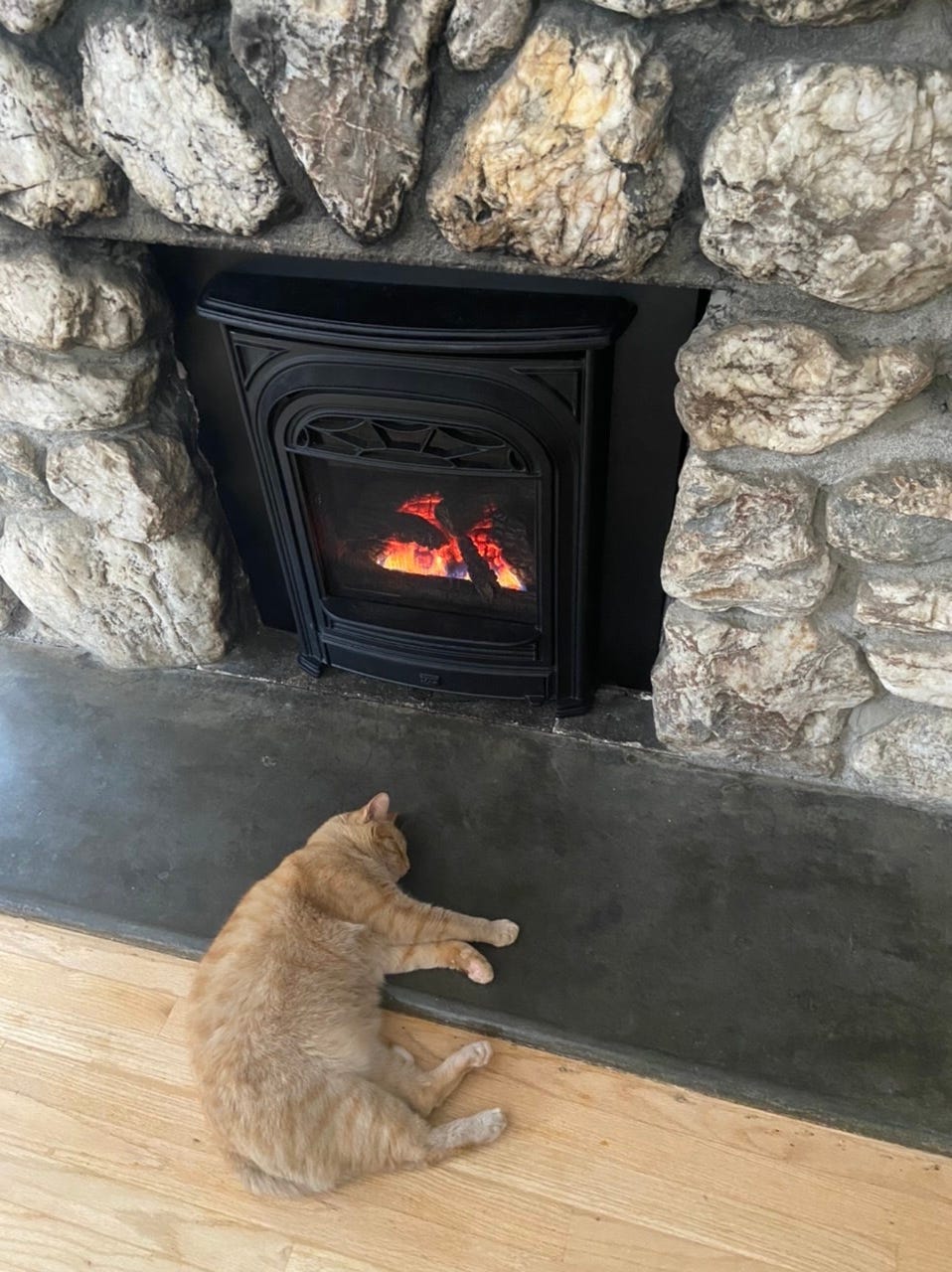 an orange cat in front of a fireplace