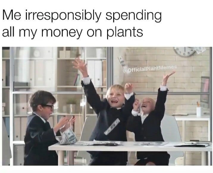 Twenty-Nine Plant Memes For Lovers Of Botany - Memebase - Funny Memes