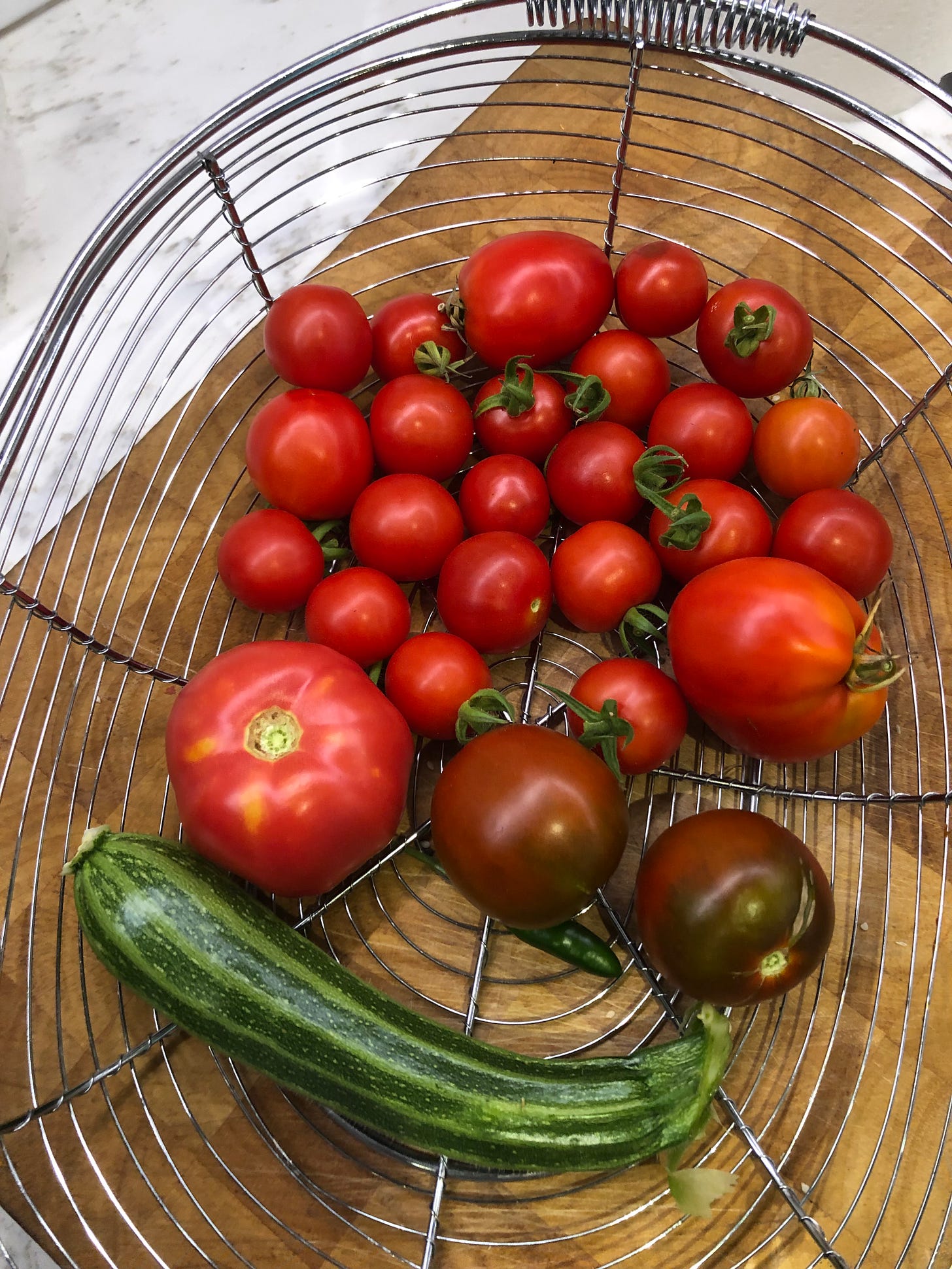 A garden basket filled with all sizes of tomatoes. Also one zucchini and a tiny Serrano pepper