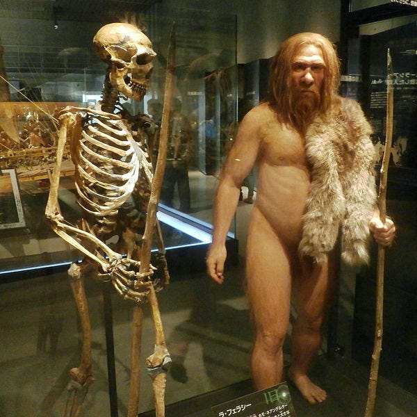 File:Skeleton and restoration model of Neanderthal La Ferrassie 1.jpg