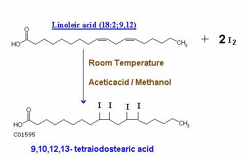 Linoleic Acid Becomes Similar to Stearic Acid