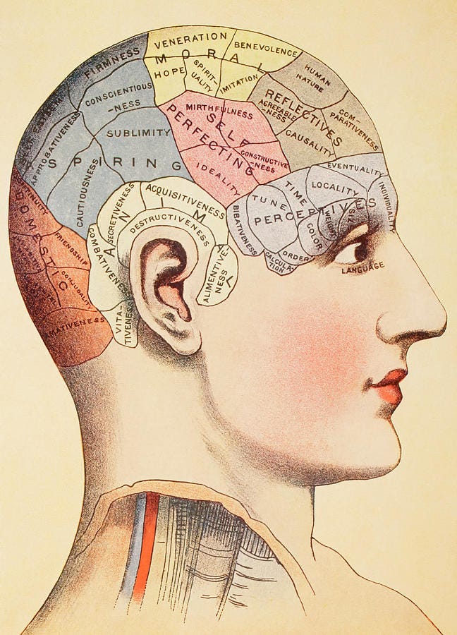 A phrenological map of the human brain Painting by English School - Fine  Art America