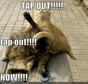 TAP OUT!!!! Tap Out!!!! NOW!!!! ICANHASCHEEZBURGERcoM TAP OUT!!!!! Tap Out!!!! NOW!!!! - I Can ...