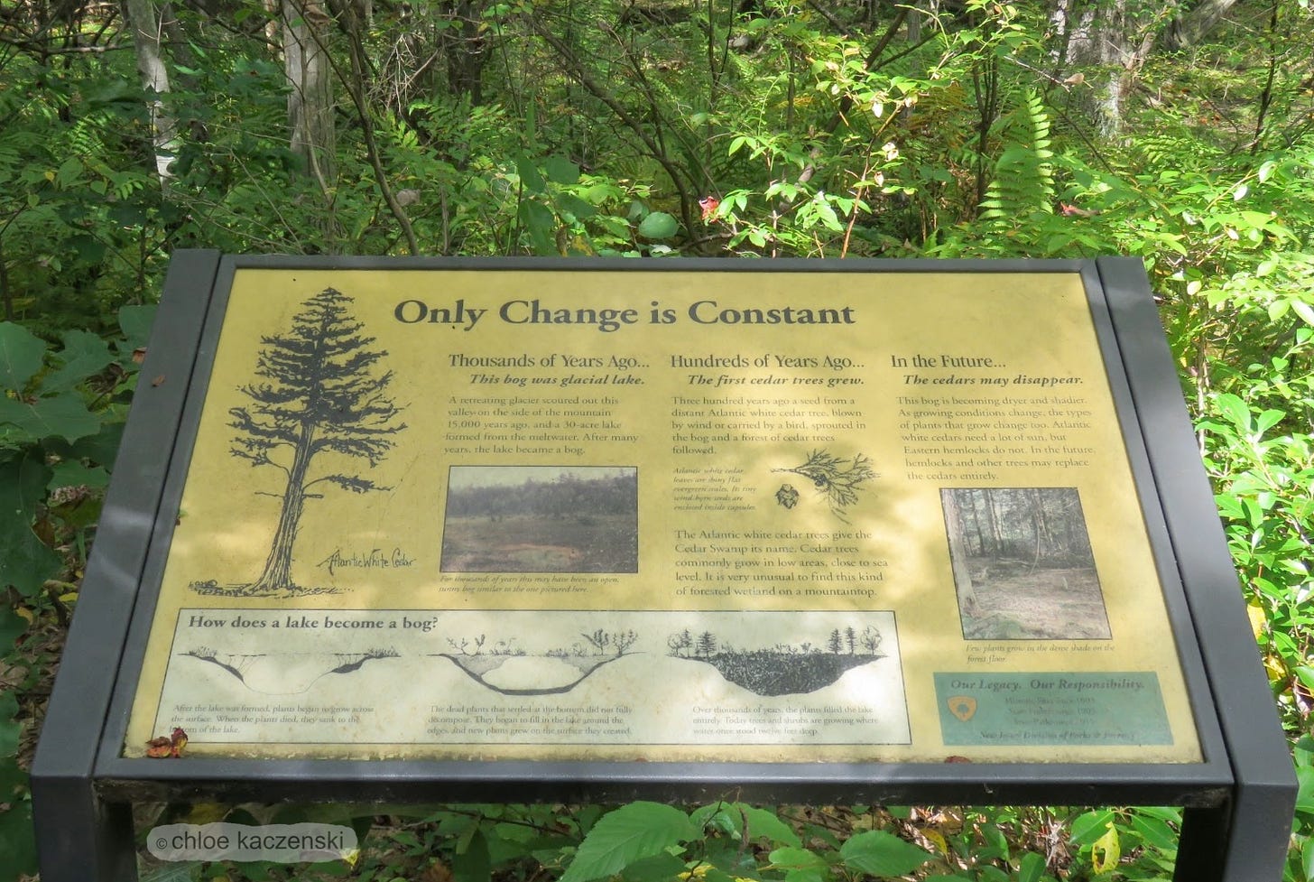 Photo of a trail information interpretive sign with the heading stating “Only Change is Constant” surrounded by green bushes trees and ferns.