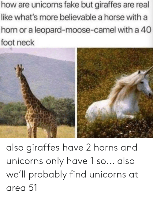 Unicorn Vs Giraffe Meme