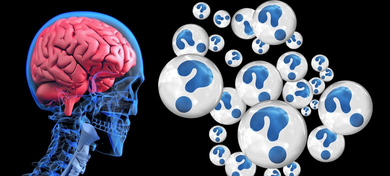 An image of a see-thru blue person from the neck up, with a pink brain in their head. To their right a number of white bubbles with question marks n them float around.