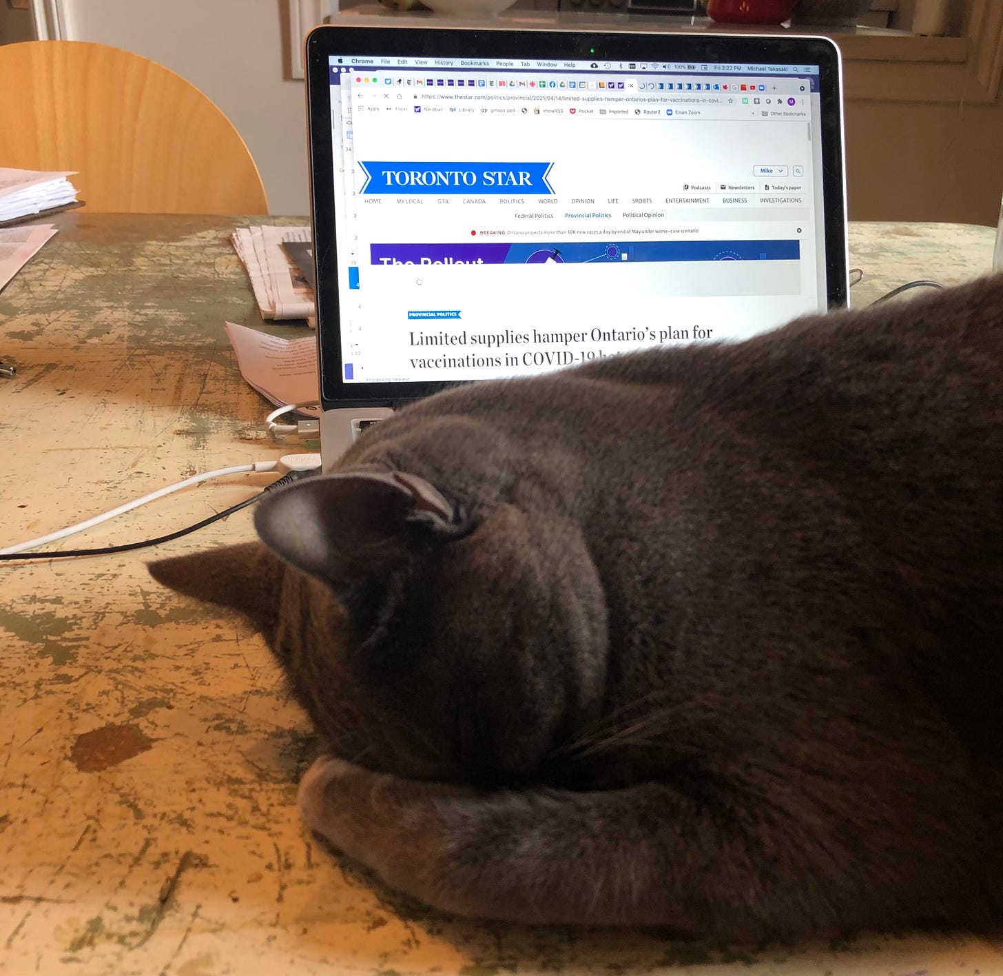 A cat appears to be palming his face in disbelief. Behind him there's a laptop with a news article open. The headline reads, "Limited supplies hamper Ontario's plan for vaccinations.