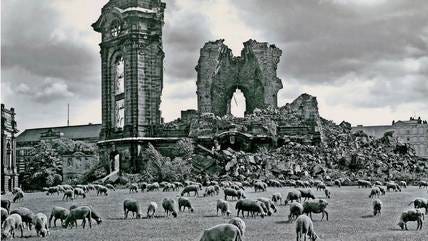 Shepherd Dieter Schlafke's sheep grazed in front of the destroyed Frauenkirche in 1957.  Now the man talks about his life experiences.