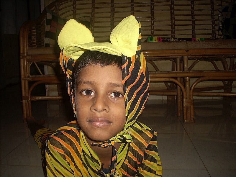 File:Child in a fancy dress costume.jpg