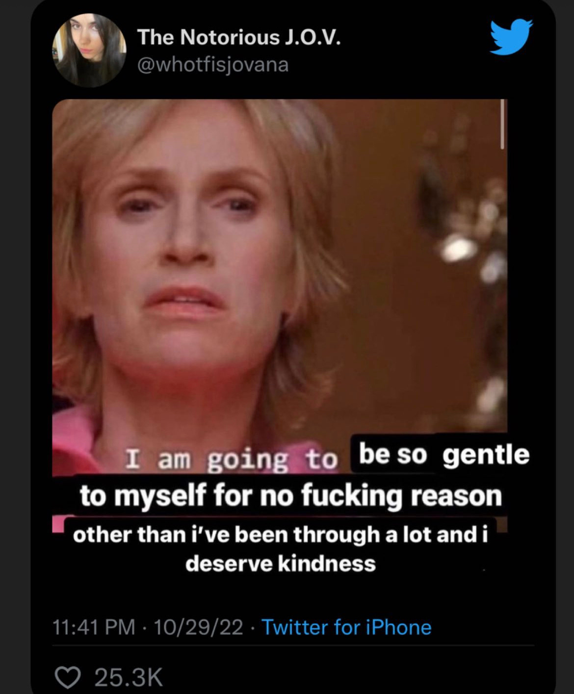 screenshot of tweet from @whotfisjovana, which is a screencap from glee of jane lynch. the original subtitle that is visible reads "i am going to" and the rest of it is blacked out and written over with the text "be so gentle to myself for no fucking reason other than i've been through alot and i deserve kindness"