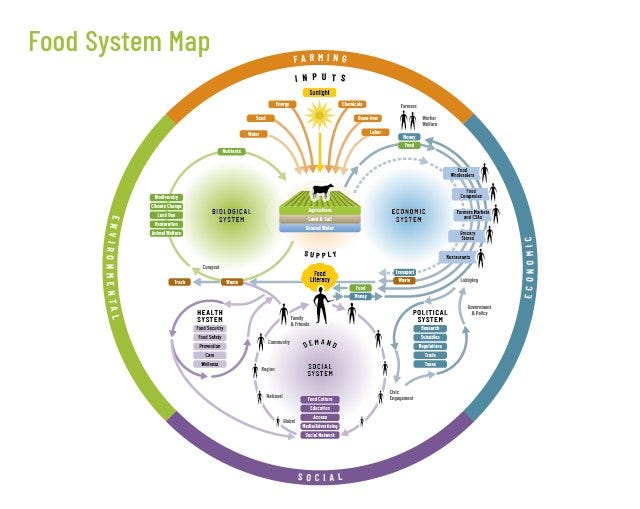 detailed visualization of our food system: including farming, economic, environmental and social aspects.