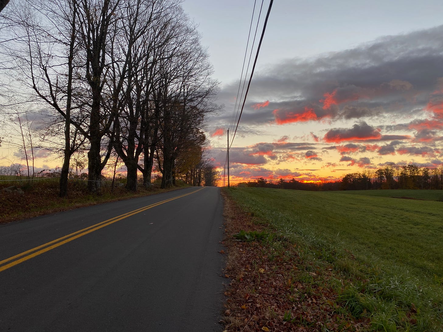 A paved road at sunrise. On the left is a tall row of leafless trees, silhouetted against the grey and purple sky. On the right is a green field. Above the field the sky is awash in colors: gold, pink, grey, and orange. The sun is just visible on the horizon, and the clouds above are tinted pink and blue.