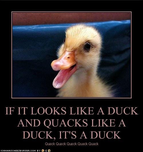 IF IT LOOKS LIKE A DUCK AND QUACKS LIKE A DUCK, IT'S A DUCK - Cheezburger - Funny Memes | Funny ...