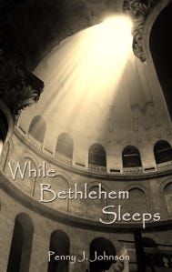 While Bethlehem Sleeps Cover