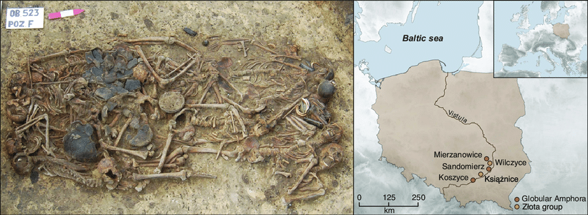 The mass grave at Koszyce, southern Poland. (A) Photograph of the 15 skeletons and grave goods buried at Koszyce site 3 (reproduced with permission from ref. 2). (B) Map of Poland showing the location of Koszyce and four other Globular Amphora/Złota group sites included in this study.