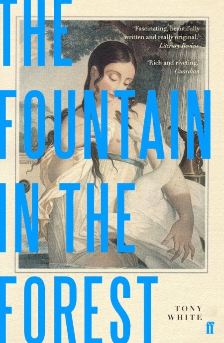 “The Fountain in the Forest” book cover by Tony White