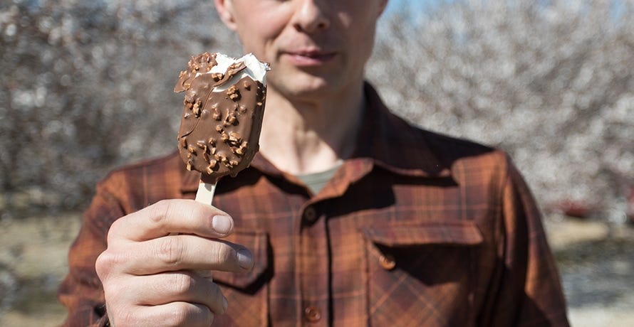 Image of person holding ice cream bar.