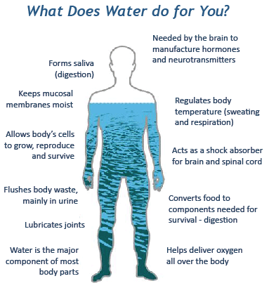 Topic 6: Hydration Part 2 - Who gives a damn about water? (hint: you if you wanna live)