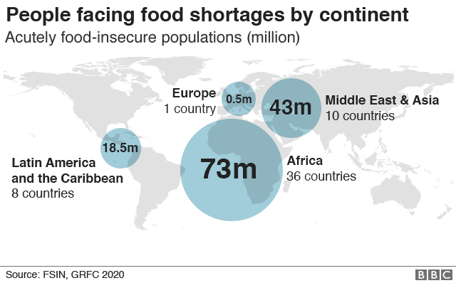 Coronavirus: Five of the countries most at risk from famine in 2020 - BBC  News