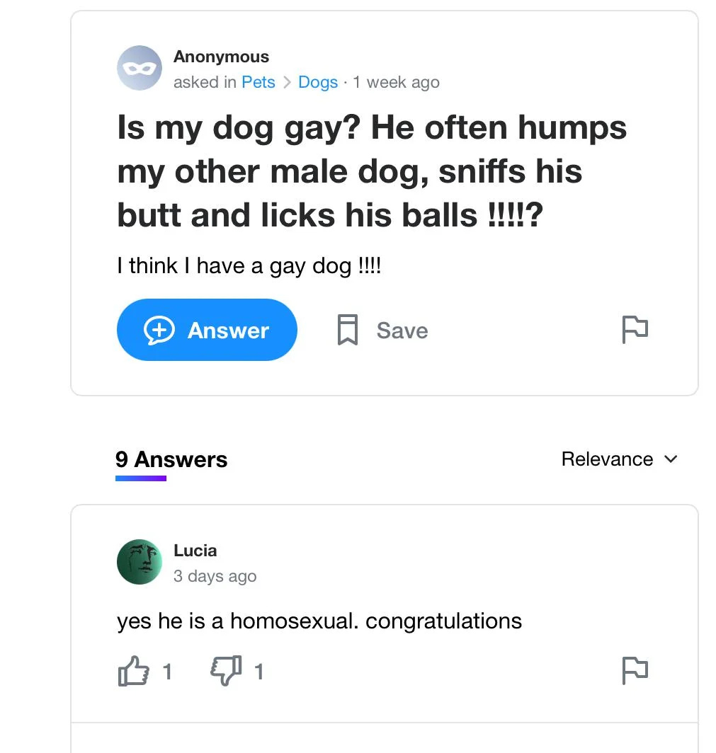 Screengrab of Yahoo user asking "Is my dog gay? He often humps my other male dog, sniffs his butt, and licks his balls!!!?" They further elaborate: "I think I have a gay dog!!!"   The most relevant answer comes from Lucia who gives the only appropriate response: "yes he is a homosexual. congratulations."