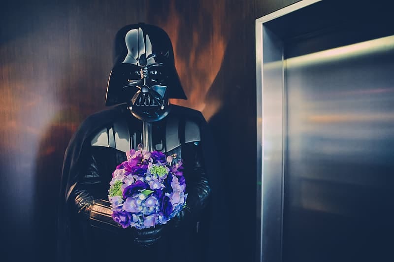 Darth Vader Holding a Purple Flower Bouquet