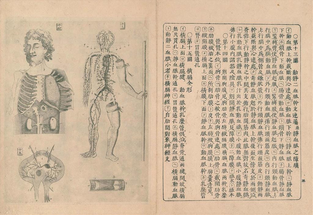 Anatomical charts by Rangaku scholar Udagawa Genshin
