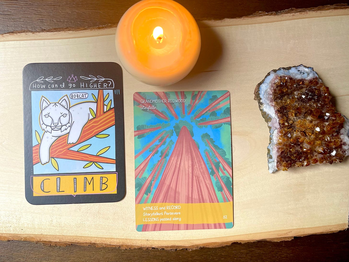 Aerial view of two cards. One with Bobcat art and one with Redwood art. Lit candle above them. Citrine crystal on the left.